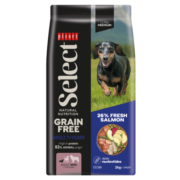 Select Adulto Mini +7 años Grain Free Salmón