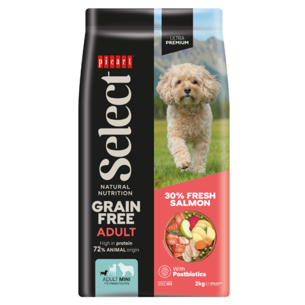 Select Adulto Mini Grain Free Salmón